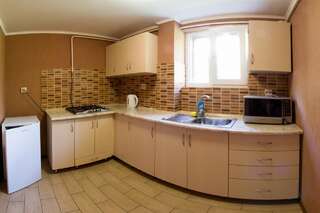 Комплексы для отдыха с коттеджами/бунгало Adelis Яремче Двухуровневые апартаменты-11